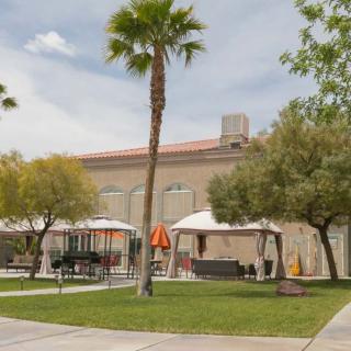 Outdoor area with a building, palm tree, canopies, and benches.
