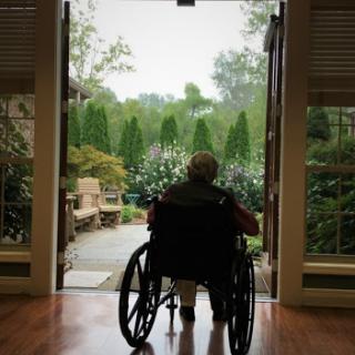 An elderly person in a wheelchair gazes outside towards a serene garden.