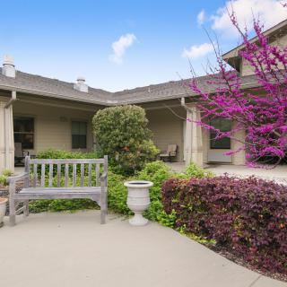 A tranquil courtyard with a wooden bench and blooming flowers.