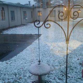 A quiet winter scene with snow lightly covering the ground and a bird feeder standing still.