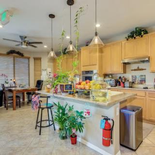 A modern kitchen featuring wooden cabinetry, a spacious island with plants, and warm lighting.