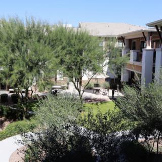 A serene courtyard with green trees and well-maintained gardens surrounded by buildings.