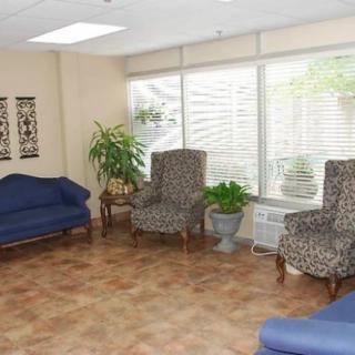 A cozy waiting room with chairs, a sofa, and indoor plants near large windows.