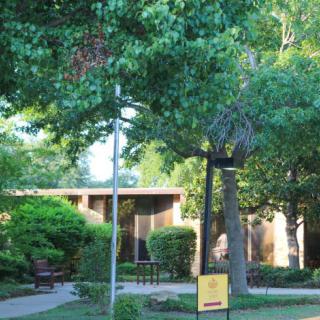 A tranquil outdoor setting with lush greenery, trees, a bench, and a building in the background.