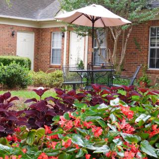 A cozy garden patio with vibrant flowers and a shaded seating area.