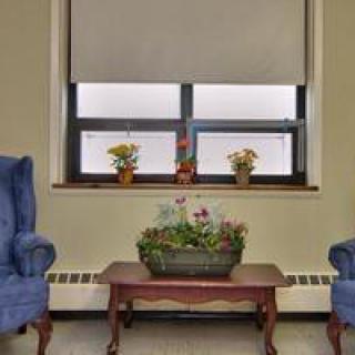 A cozy sitting area with two blue chairs flanking a small wooden table adorned with potted plants, set against a window backdrop.