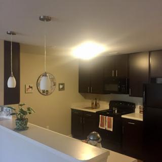A modern kitchen featuring dark cabinets, sleek appliances, and stylish lighting.