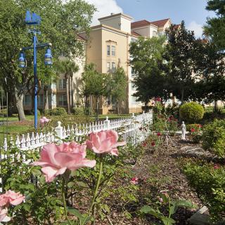 A beautiful garden with blooming pink flowers in front of a historic building.