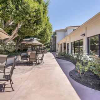 A sunny patio area with seating and umbrellas next to a building and a landscaped pathway.