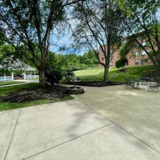 A serene outdoor space featuring lush greenery, trees, and a concrete pathway, ideal for relaxation and leisure.