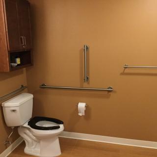 An accessible bathroom with handrails and a mounted cabinet.