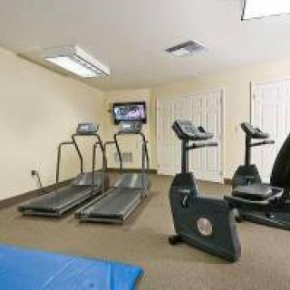A small indoor gym with treadmills and a stationary bike.