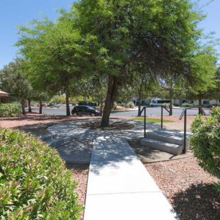 A sunny day in the park with a sidewalk leading through lush greenery.