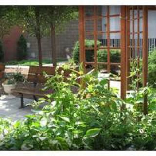 Schulman And Schachne Inst For Nursing & Rehab