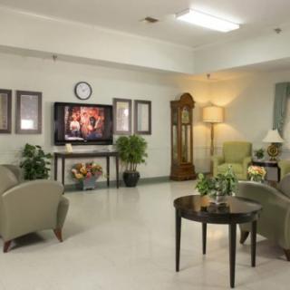 A cozy living room with comfortable seating, a television, and decorative plants.