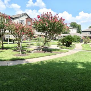 A beautifully landscaped garden with a winding pathway, trees, and a building in the background on a sunny day.