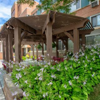A wooden gazebo surrounded by lush greenery and flowers, adjacent to a building.