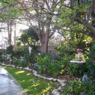 A serene garden scene with lush foliage and a winding pathway.