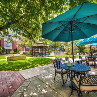 A serene outdoor patio with tables, chairs, and umbrellas under lush trees.