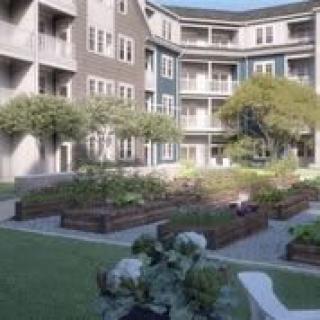 A serene apartment courtyard with raised garden beds and lush greenery.
