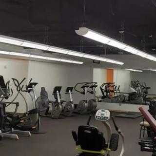 A spacious gym with various exercise machines, including ellipticals and treadmills, lined up against mirrored walls.