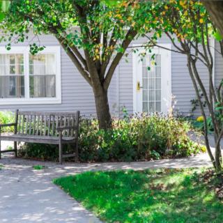 A serene garden setting with a bench under a tree near a house.