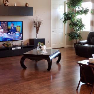 A modern living room with a television, hardwood floors, and stylish decor.