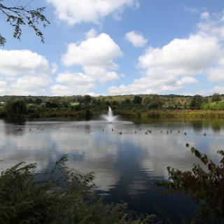 A serene view of a lake with a fountain, surrounded by lush greenery and a bright blue sky.
