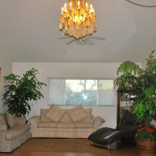 A cozy living room with a beige sofa, chandelier, and lush indoor plants.