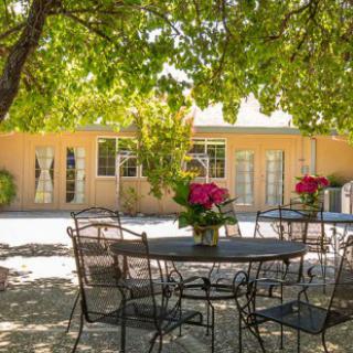 A serene patio with outdoor seating shaded by trees, featuring a table adorned with vibrant flowers.