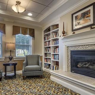 Cozy living room with a fireplace and bookshelves.