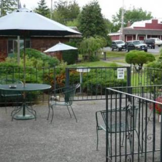 A cozy outdoor patio area with tables, chairs, and umbrellas, surrounded by greenery.