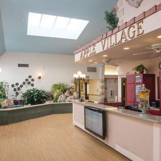 An interior view of a facility with a counter area and decorative plants, illuminated by a skylight.