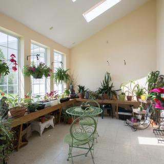 A sunlit room filled with a variety of indoor plants and green furniture.