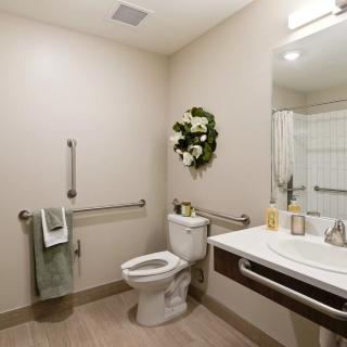 An accessible bathroom with handrails, a toilet, and a sink, featuring a mirror and decorative flowers.