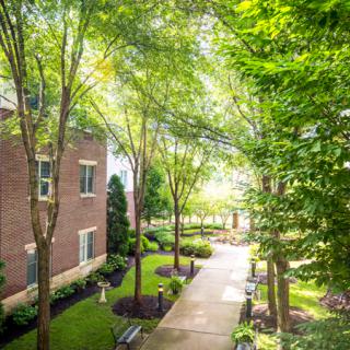 A tranquil garden pathway flanked by lush greenery and a brick building.