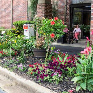 A vibrant garden with colorful flowers outside a building entrance.