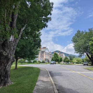 A scenic view of a tree-lined street with a building in the background under a blue sky.