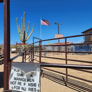 A serene desert landscape featuring a flag, an imposing cactus, and a rustic fence.
