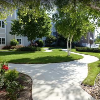 A serene pathway meandering through a well-maintained garden with lush greenery and trees.