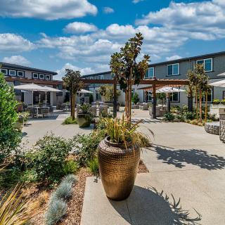 A tranquil courtyard with potted plants and seating areas on a sunny day.