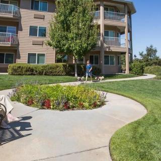 A landscaped outdoor area with a walkway surrounding a garden in front of an apartment building, featuring well-maintained lawns and trees.