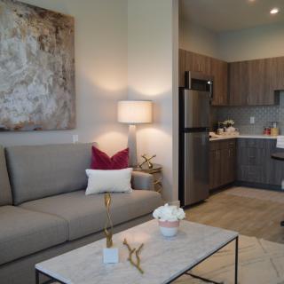 A cozy modern apartment living room with a view into the kitchen area, featuring a comfortable sofa and stylish decor.
