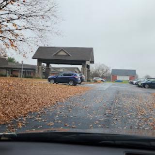 A peaceful autumn scene with fallen leaves along a road leading to a parking area.