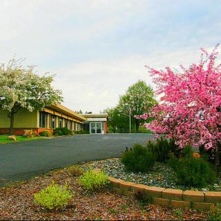 A serene landscape featuring a building surrounded by blooming spring trees and flowers.