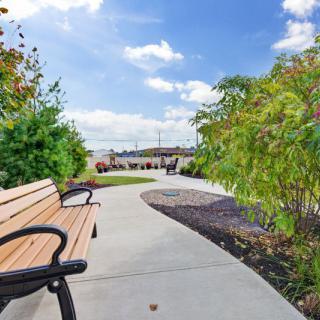 A serene park pathway with a wooden bench and lush greenery under a clear blue sky.