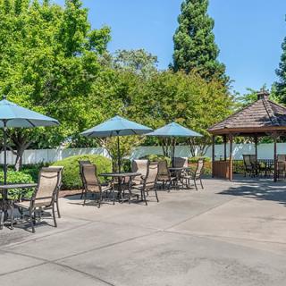 A sunny outdoor patio area with tables, chairs, umbrellas, and a gazebo surrounded by trees.