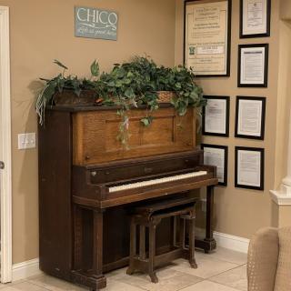 An upright piano adorned with plants, surrounded by framed certificates and wall art.