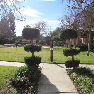 A beautifully landscaped park with a pathway flanked by topiary trees on a sunny day.