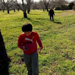 A child exploring a sunny field while an adult walks in the background.